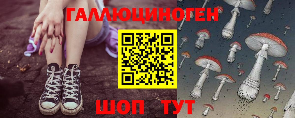 Псилоцибиновые грибы GOLDEN TEACHER Бирск